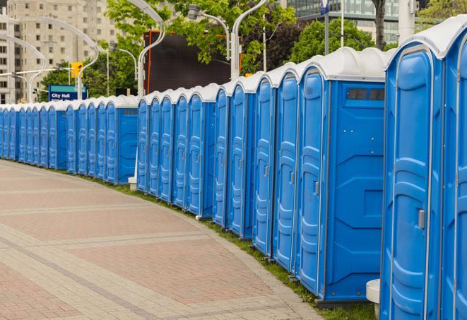 hygienic portable restrooms lined up at a music festival, providing comfort and convenience for attendees in Cypress